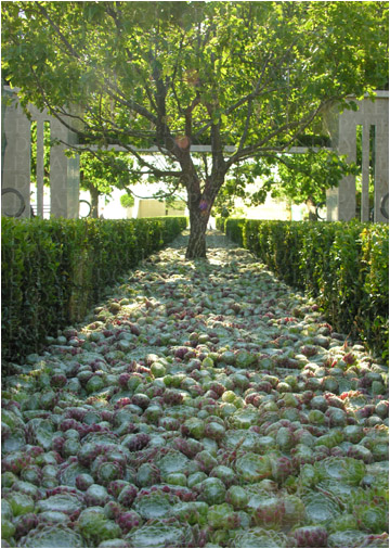 Mulberry Garden